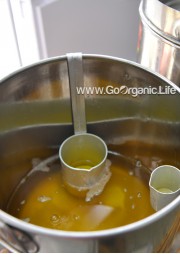 Groundnut oil Cold pressed / मूंगफली का तेल/ मूंगफली का तेल	 /கடலை எண்ணெய்(1L)