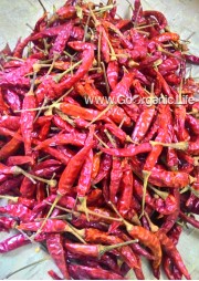 Dry Chilly (250g)