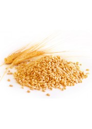 Wheat Raw / गेहूँ / கோதுமை (1Kg)